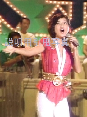 7日本テレビ音楽祭1979.jpg